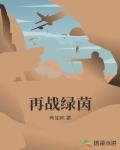 再战绿茵