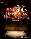 重生：图鉴收集系统