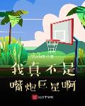 我真不是嘴炮巨星啊