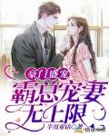 豪门盛宠：霸总宠妻无上限