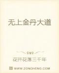 无上金丹大道